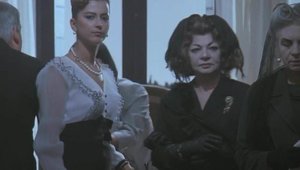 Hairy pussy brunette fucked hard